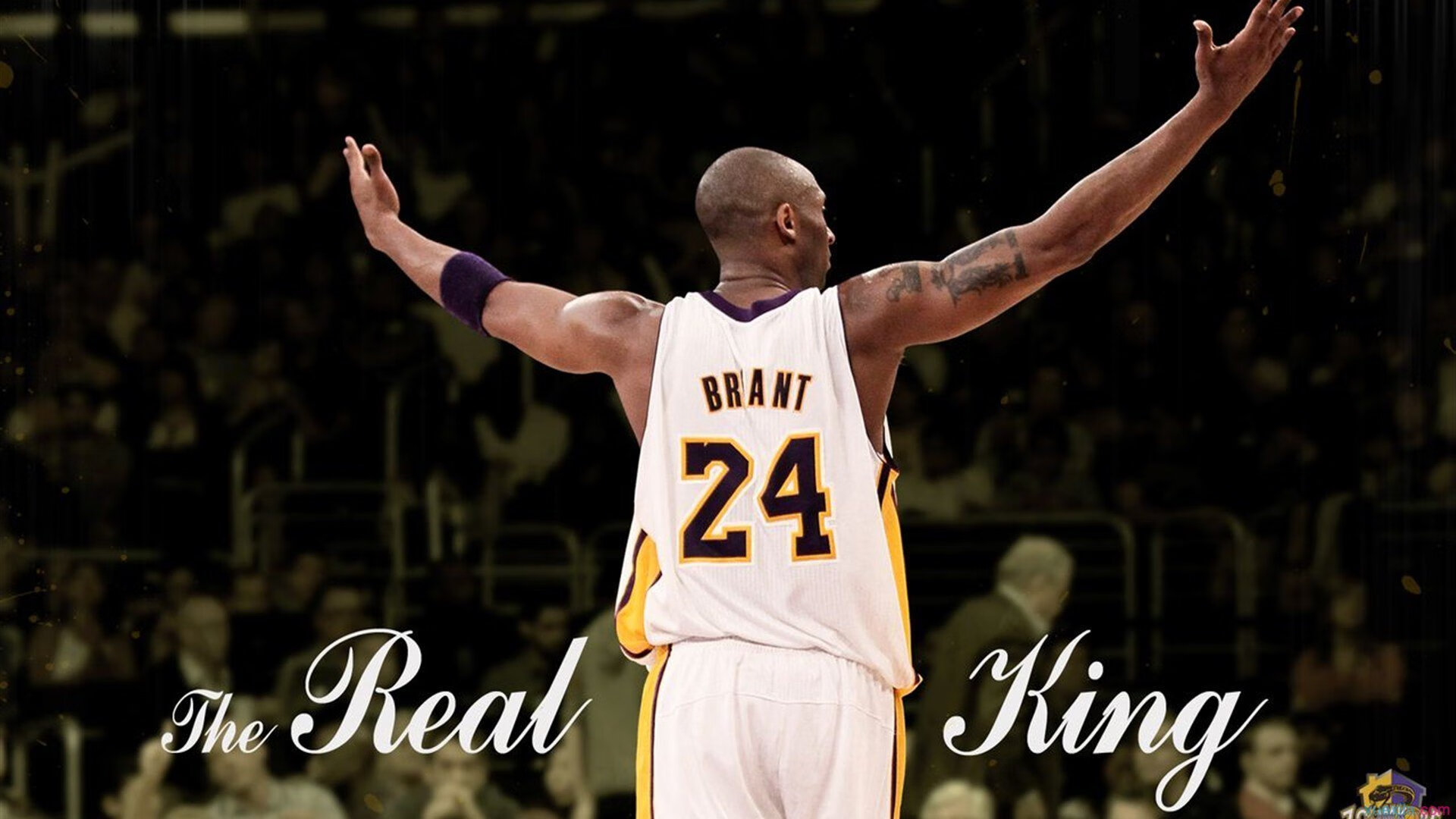 世界杯预选赛焦点战分析